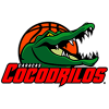 Kokodrilos
