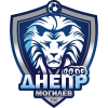 Dnepr Mogilev (Zh)