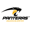 Panteras de Aguascalientes