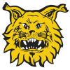 Ilves U20